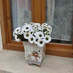 Casa de Férias Aromas De Coraín *