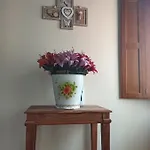 Aromas De Coraín Onís