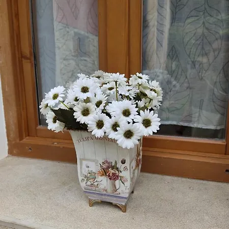 بيت للعطل Aromas De Corain *