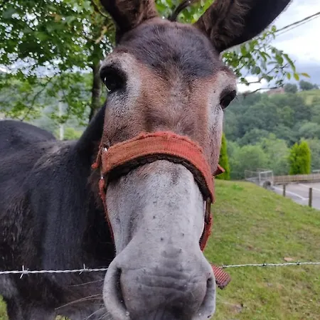 Aromas De Corain بيت للعطل *