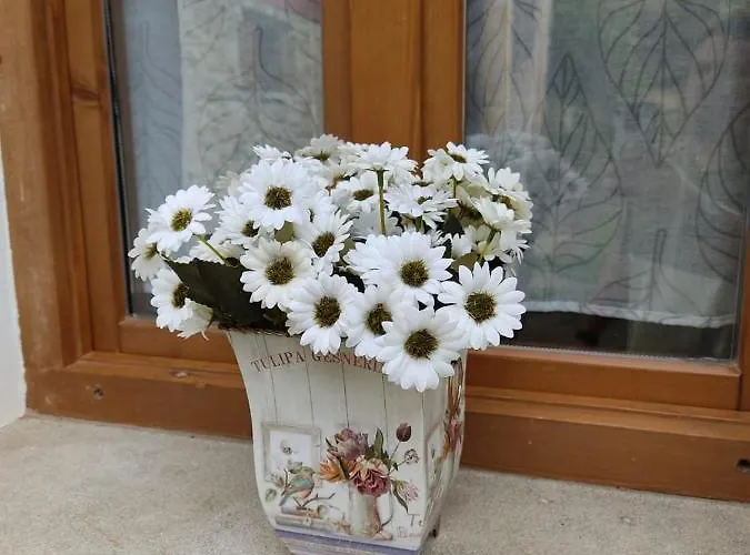 Holiday home Aromas De Corain *